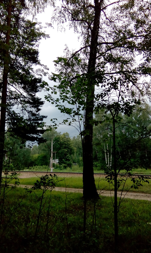  Подмосковье, лето 2016