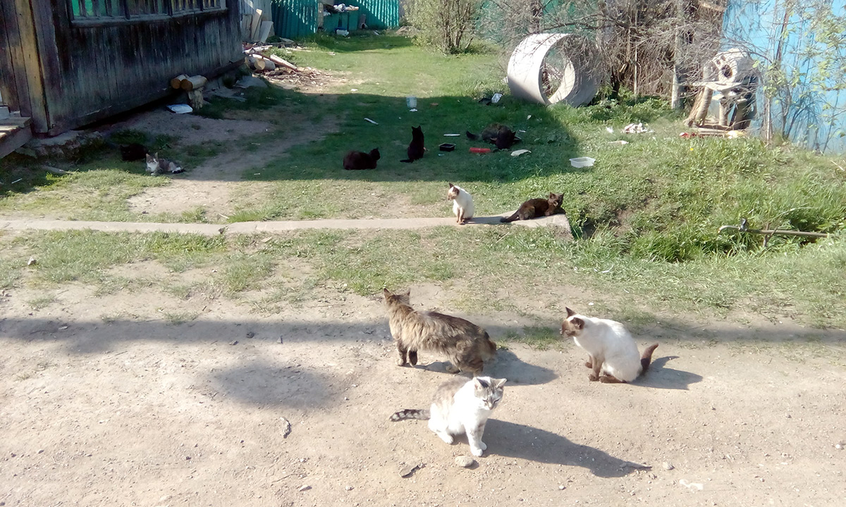  Подмосковье, весна 2016