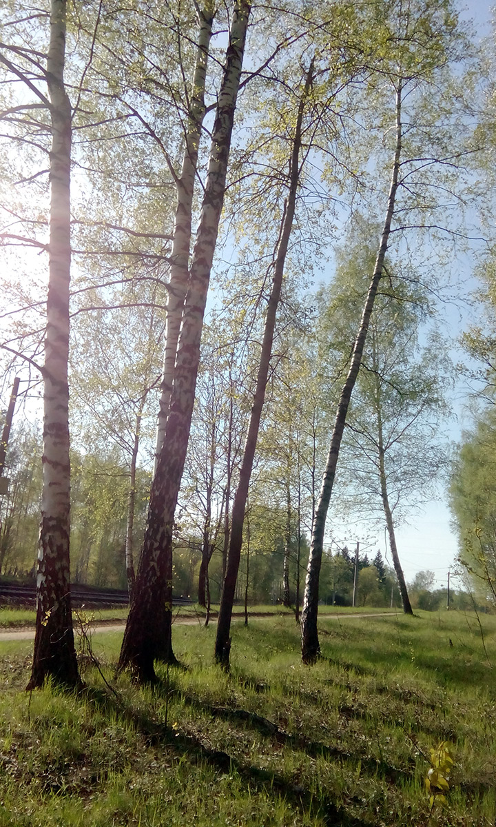  Подмосковье, весна 2016